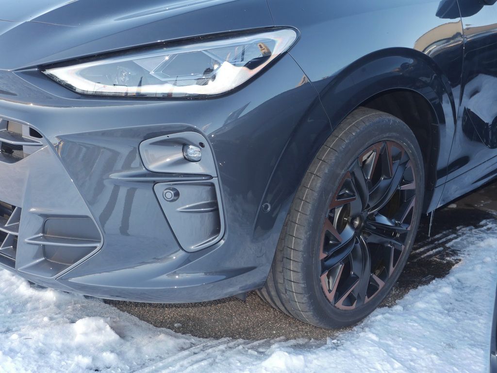 Cupra Terramar - Bild 9