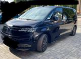 Volkswagen T7 Multivan 2,0 TDI SCR DSG - - VW T7 Multivan von privat