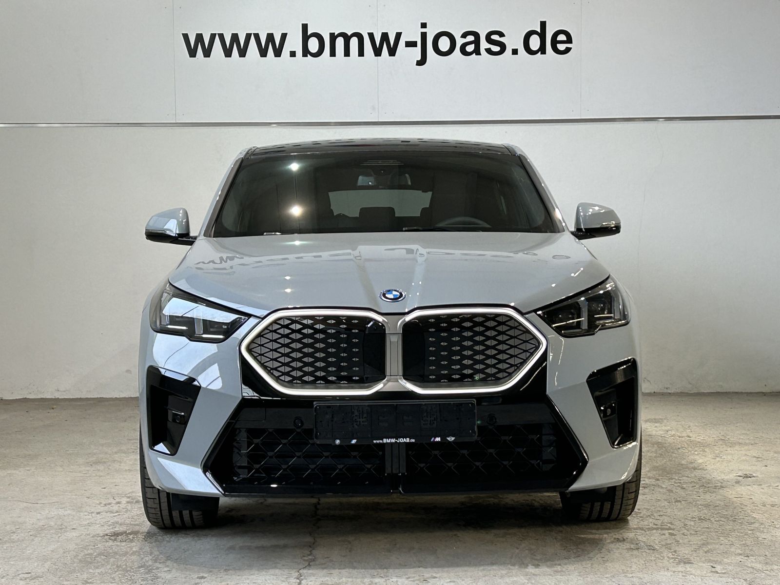 Fahrzeugabbildung BMW iX2 M Sportpaket, Panorama Glasdach Head-Up DAB