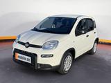 Fiat Panda *NEU* 1.0 GSE Hybrid DAB/Klima - Fiat Panda: Kombi