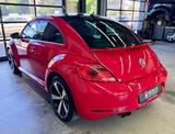 Volkswagen Beetle 1.4 TSI DSG R-Line Sport+Bi-Xenon+18" Alu - Volkswagen Beetle: Rot