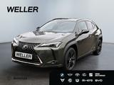 Lexus UX 250h Style+ Edition *LED*CAM*ACC*SHZ*Totwinke - Lexus aus 2021