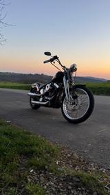 Harley-Davidson FXSTS Softail Springer - HARLEY-DAVIDSON FXSTS