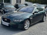 Jaguar XE 20t 200PS Portfolio 20t.LenkradHZ,Panorama - Jaguar: Grün