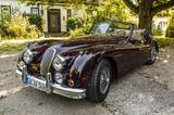 Jaguar XK 140 DHC - Jaguar XK aus 1956: Roadster, Xk140
