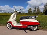 Peugeot Django 50 - 4T wie neu mit Vers. & viel Zubehör - PEUGEOT DJANGO