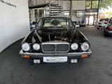 Jaguar XJ V12 Serie III H-Zulassung Schiebedach TOP - Jaguar: 12