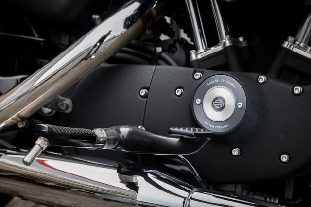 Fahrzeugabbildung Harley-Davidson XL883N IRON SPORTSTER - MIT SOZIUSKIT