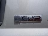 Volkswagen T5 California CUP