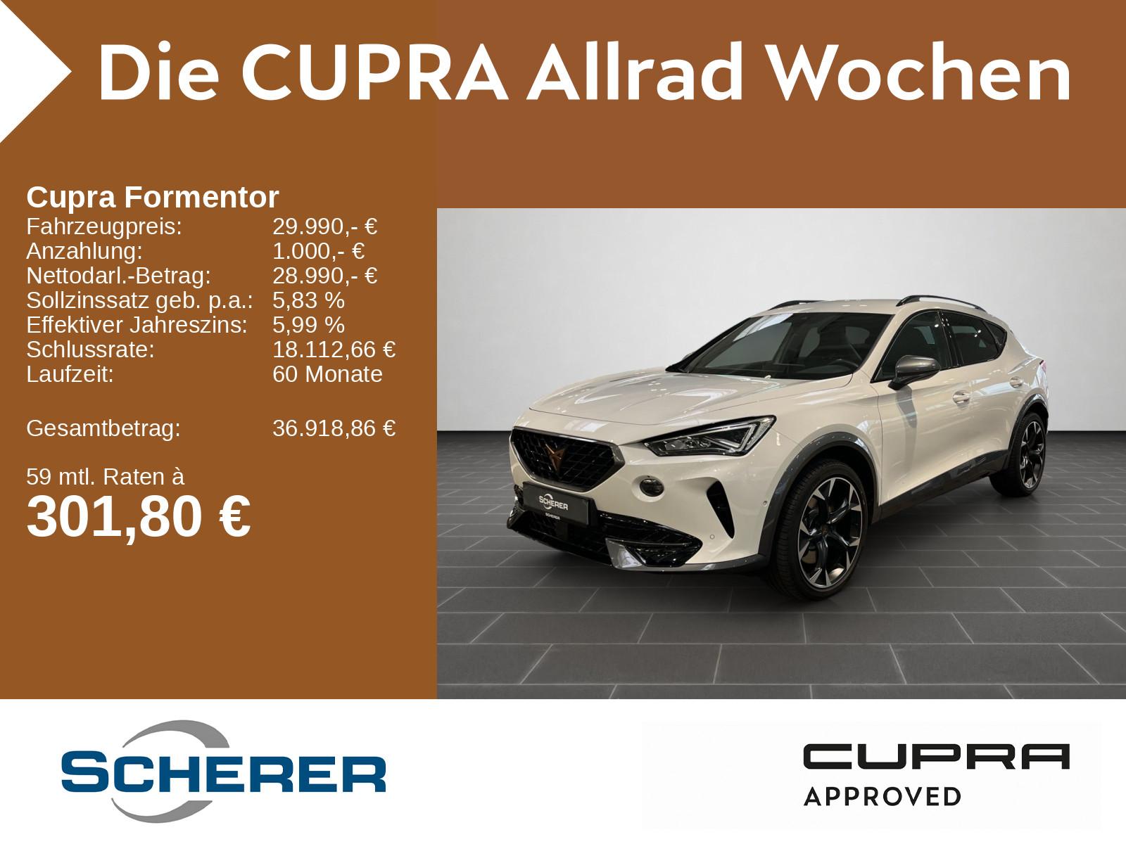 Cupra Formentor VZ 2.0 TSI 4Drive DSG Rückfahrkamera K