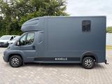 Peugeot Boxer MSG Pferdetransporter Stablehopper Klima - Peugeot Doppelkabine