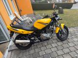 Suzuki GS500E TÜV+BATTERIE NEU - Offers matching your search criteria