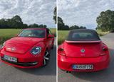 Volkswagen VW Beetle Cabriolet 2.0 TDI DSG | Automatik - Volkswagen Beetle: TDI