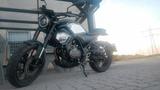 Online SC125 Furious *wenig KM- wie neu* - ONLINE MOTORRAD