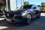 Mazda CX-30 2.5 140PS Exclusive-Line Matrix-LED Bose 3 - Mazda CX-30 Exclusive-Line mit Benzin-Antrieb