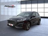 Ford Kuga ST-Line Sportpaket Bluetooth Navi LED Klima - Benzin Gebrauchtwagen in Worms