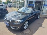 BMW 220i Cabrio Luxury Line,Automatik,Navi,Leder, - BMW 220 in Leipzig