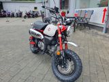 Honda Z125M Monkey + 6 Jahre Garantie - 2025er Modell - Angebote entsprechen deinen Suchkriterien