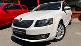 Skoda Octavia Combi Elegance 4x4/Navi/Canton/DAB/PDC - Skoda Octavia: Kombi, Elegance