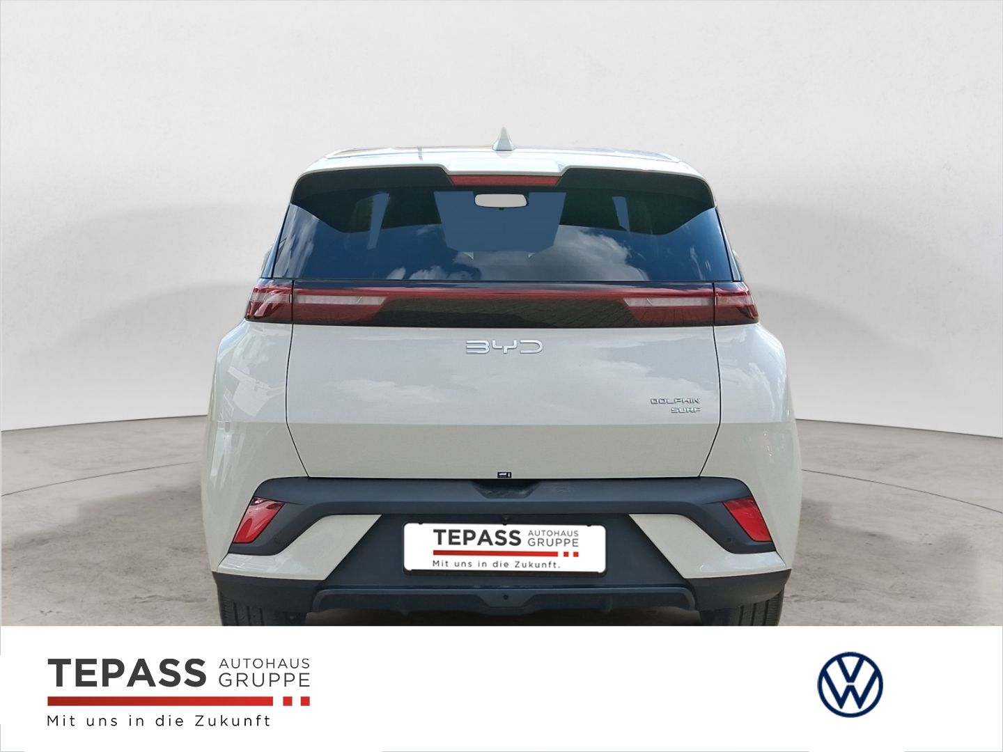 BYD DOLPHIN SURF