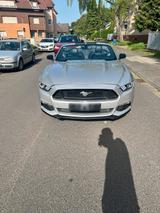 Ford Mustang Cabrio - Ford Mustang Gebrauchtwagen in Köln