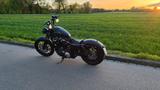 Harley-Davidson Sportster 883 / 1200 - HARLEY-DAVIDSON 883