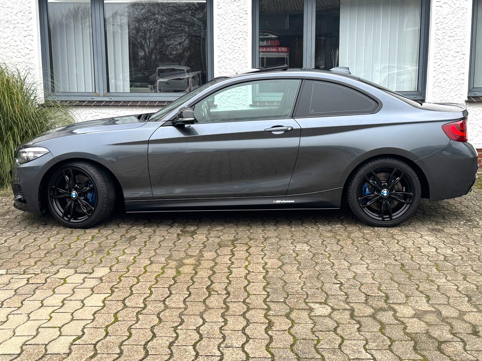 BMW M235i Coupé M-Performance Kamera