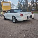 Ford Thunderbird V8, Borla Auspuffanlge, s... - Ford Thunderbird mit Benzin-Antrieb: Cabrio