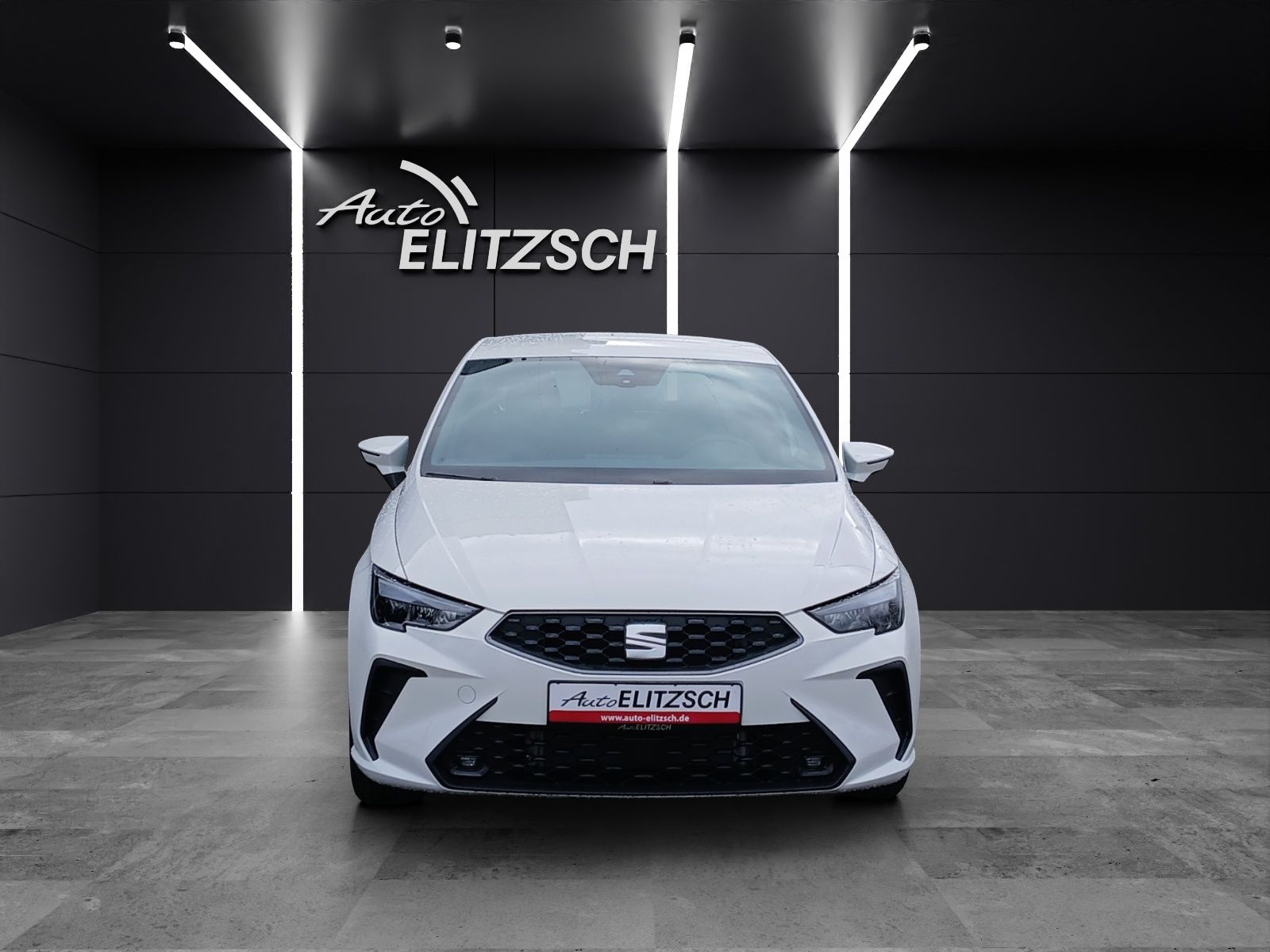 Fahrzeugabbildung SEAT Ibiza 1.0 TSI Style LED Winter-Paket