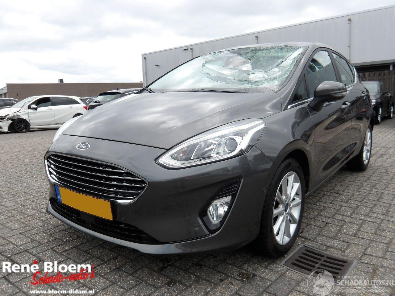 Ford Fiesta 1.0 EcoBoost Titanium 5-türig