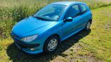 Peugeot 206 - Peugeot 206 aus 2000