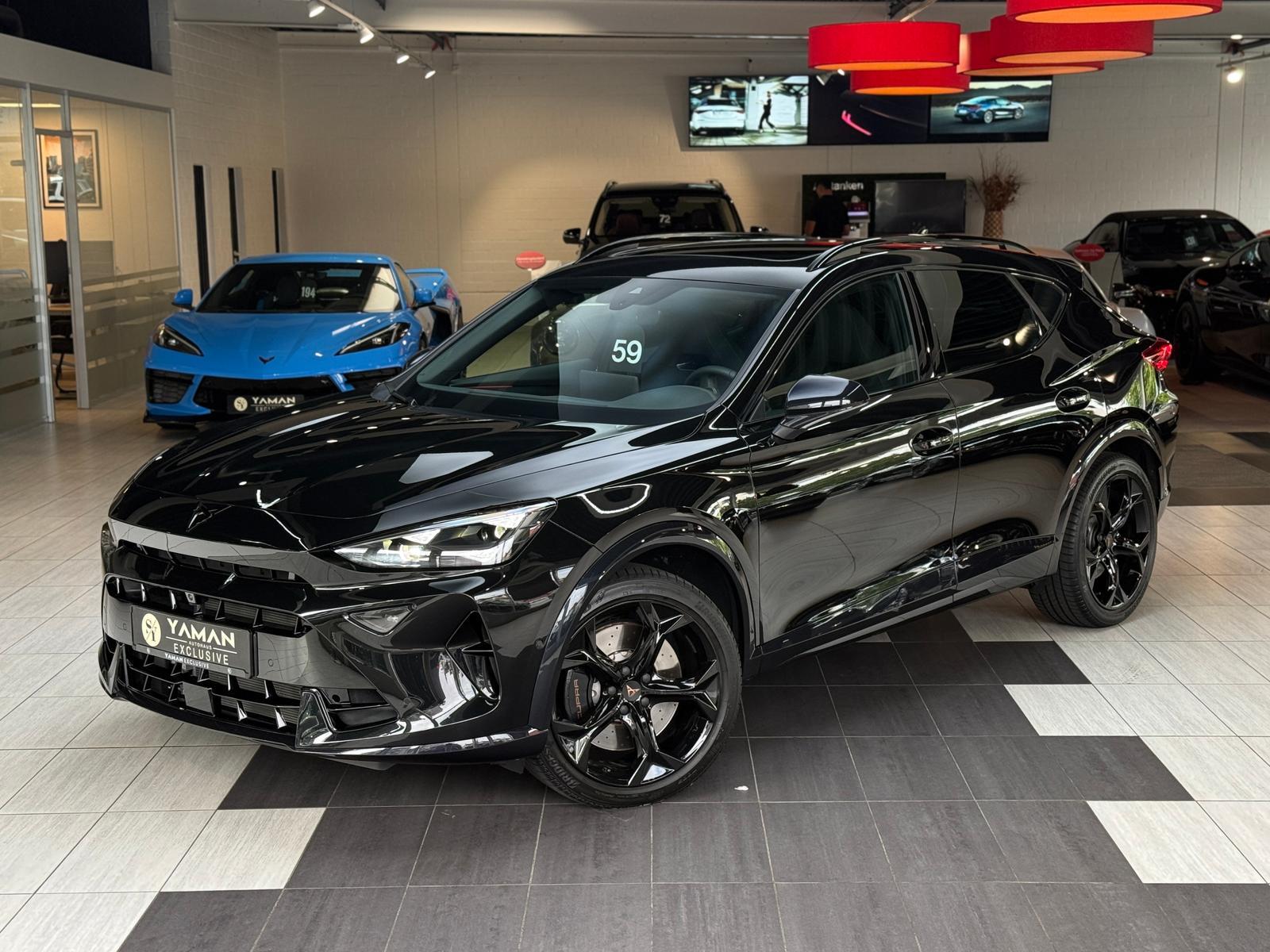 Cupra Formentor VZ 2.0 TSI 4D Matrix Skyline-Paket AHK