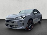 Cupra Terramar - Vorschau Bild 1