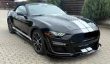 Ford Mustang Cabrio Shelby GT500 look - Ford Mustang: Shelby Gt500