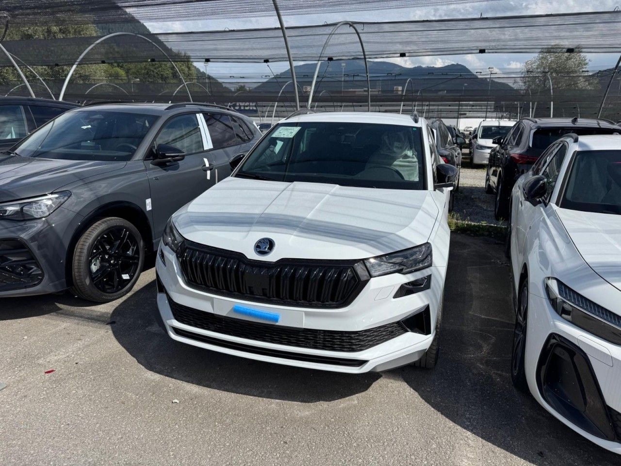 Fahrzeugabbildung SKODA Karoq Sportline TSI DSG 4x4 - September25