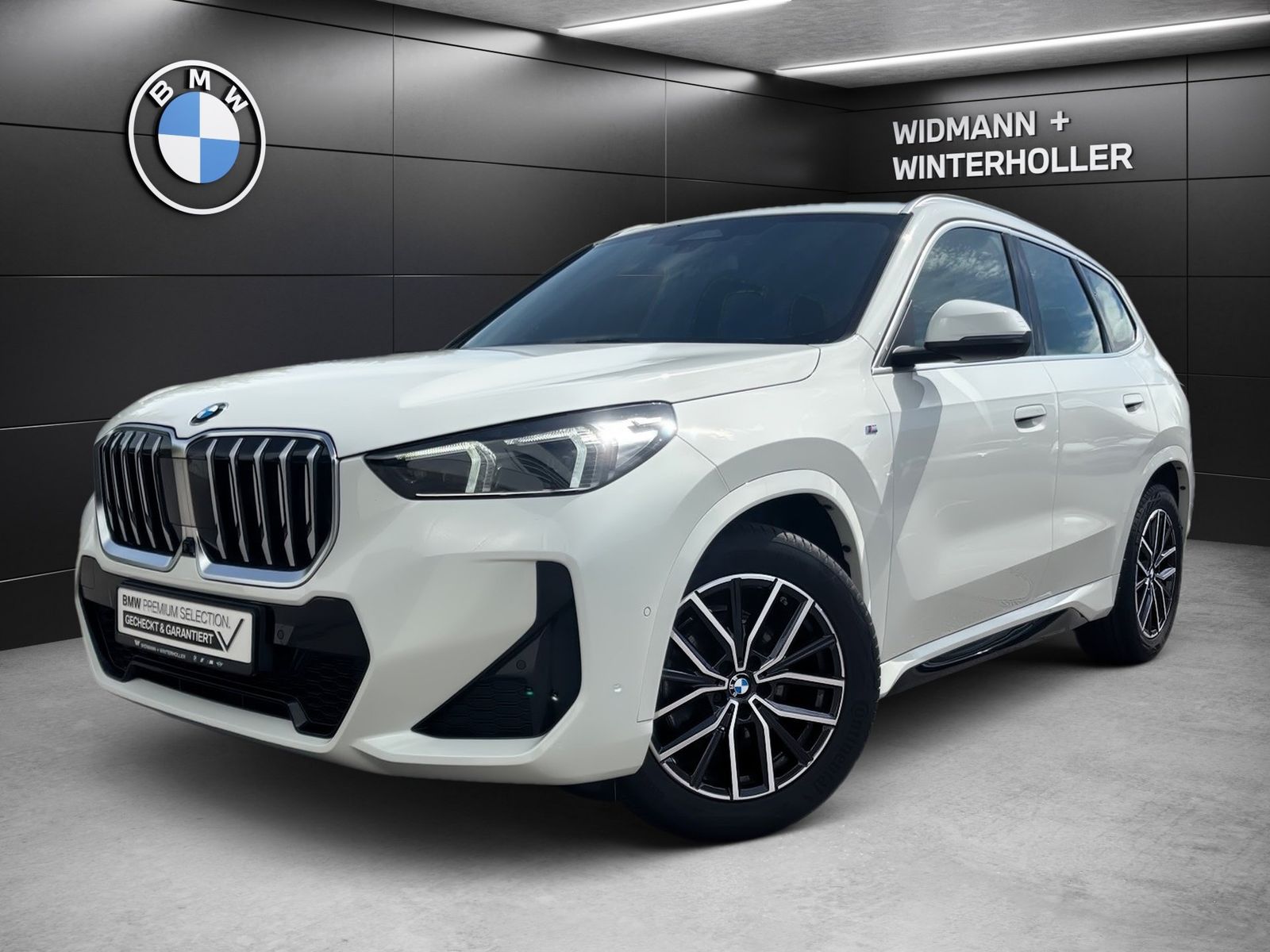 BMW X1 xDrive20d M Sport HUD LC Prof. DA Aktivsitze