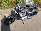 Harley-Davidson XR 1200 Sportster - HARLEY-DAVIDSON XR