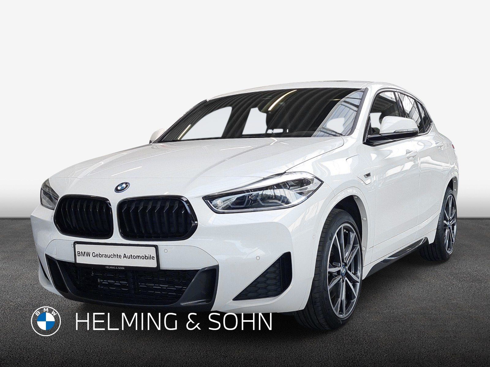 BMW X2 xDrive25e M-Sport Head-Up HiFi Pano DAB LED u
