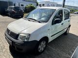Fiat Panda 1.1 8V Active - Fiat Gebrauchtwagen von 2010