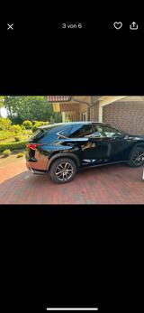 Lexus NX 300h BJ2020| 93.000 km | TÜV NEU | Scheckheft - Lexus: Geländewagen
