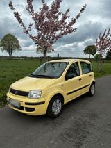 Fiat Panda 145.000 - Fiat Panda Gebrauchtwagen in Mönchengladbach