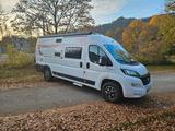 Challenger V217 Vany Fiat Ducato  - Vany