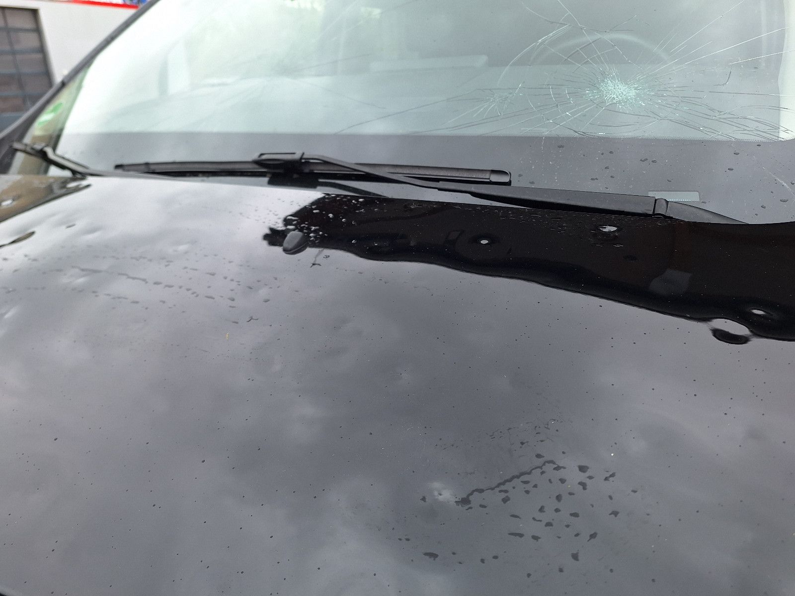 Fahrzeugabbildung Opel Vivaro Doka 5 Sitzer /Aut. Hagelschaden