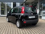 Fiat Panda 1.0 Hybrid MY'25 + City Paket *PDC hi*ZV*B - Fiat Panda Gebrauchtwagen in Dortmund