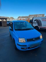 Fiat Panda zu verkaufen - Fiat Panda Gebrauchtwagen in Aachen