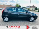 Fiat Punto Lim. 1.2 Schaltgetriebe - 1.2 8V Dynamic - Fiat aus 2003