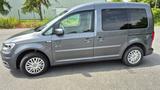 Volkswagen Caddy 1,0TSI 75kW BMT Trendline 5-Sitzer  - Volkswagen Caddy: 7