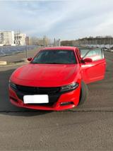 Dodge Charger - gebrauchte Dodge Charger aus dem Jahr 2015