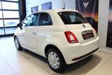 Fiat 500 Cult Klima Fenster el. - Fiat 500 Cult mit Benzin-Antrieb