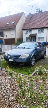 Nissan Primera 2.0l 140 PS mit TÜV - Nissan Primera aus 2002
